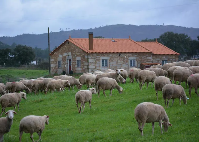 Lejlighed 4quintas Minhocal